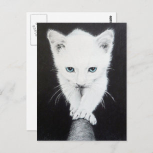 Cartão Postal Gatinho branco e bonito Desenho de animais Amantes