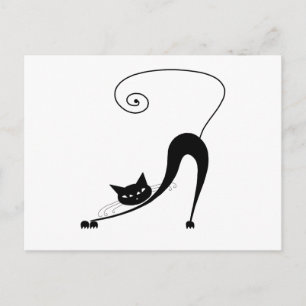 Cartão Postal Gatinho branco preto 2