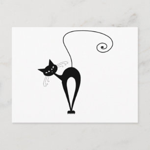 Cartão Postal Gatinho branco preto 3