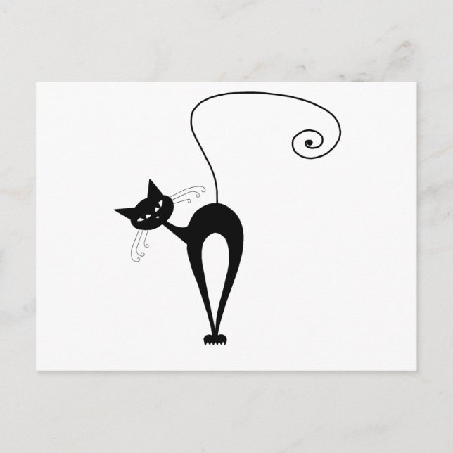 Cartão Postal Gatinho branco preto 3 (Frente)