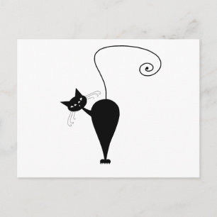 Cartão Postal Gatinho branco preto 5