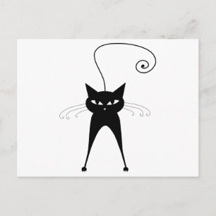 Cartão Postal Gatinho branco preto 6