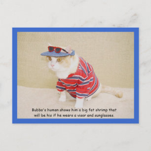 Cartão Postal Gatinho Bubba Legal