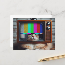 Cartão Postal Gatinho com uma face de TV antiga