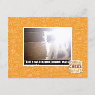 Cartão Postal Gatinho Crítico em Massa