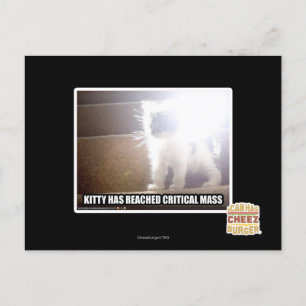 Cartão Postal Gatinho Crítico em Massa