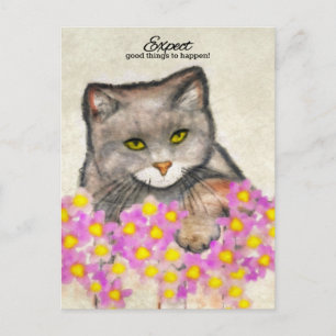 Cartão Postal Gatinho curioso - "Esperem que coisas boas aconteç