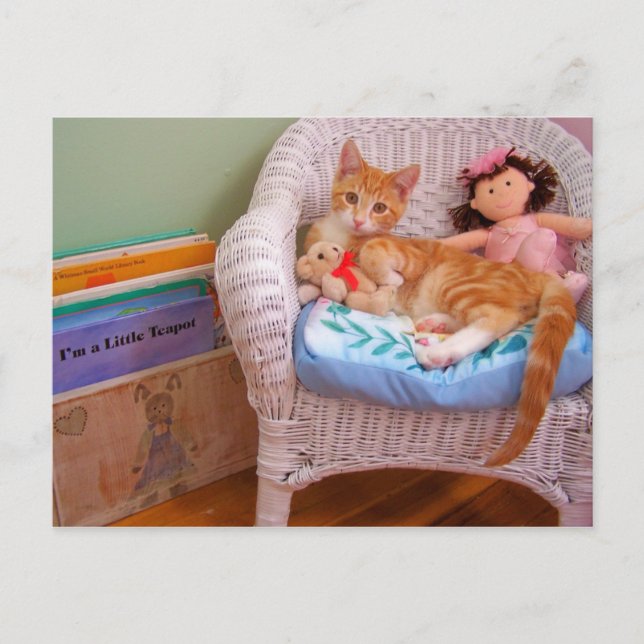 Cartão Postal gatinho de boneca Cole (Frente)