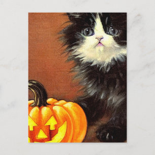 Cartão Postal Gatinho de Halloween Preto e Branco Vintage