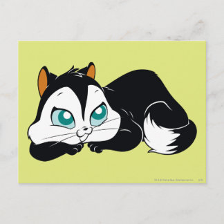 Cartão Postal Gatinho de Pussyfoot Cute