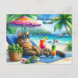 Cartão Postal Gatinho de Slogan Gato Engraçado na Praia