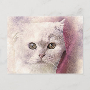 Cartão Postal Gatinho de Tempo de Agitação ABSTRATO Watercol