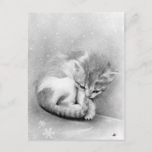 Cartão Postal Gatinho de vinho de borra