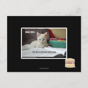 Cartão Postal Gatinho do Tutor