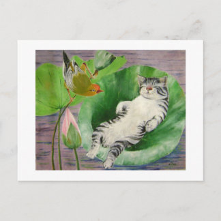 Cartão Postal gatinho dormindo
