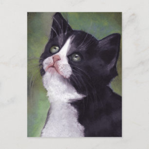 Cartão Postal Gatinho Em Pesquisa: Gato em Pastel de Óleo