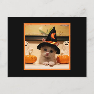 Cartão Postal Gatinho Feliz Feliz De Halloween E Chapéu De Bruxa