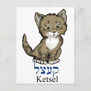 Cartão Postal gatinho fofo-"ketsel" em Yiddish