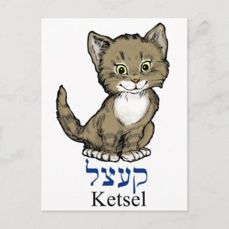 Cartão Postal gatinho fofo-"ketsel" em Yiddish