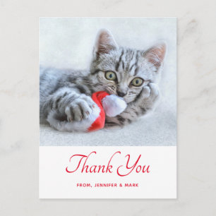 Cartão Postal Gatinho Fofo Mordendo Chapéu Vermelho do Papai Noe
