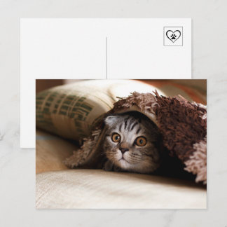 Cartão Postal Gatinho fofo se escondendo debaixo do cobertor