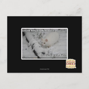 Cartão Postal Gatinho furtivo 1