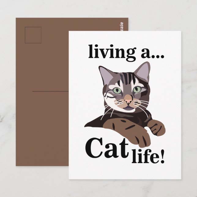 Cartão Postal Gatinho Gato Engraçado (Frente/Verso)