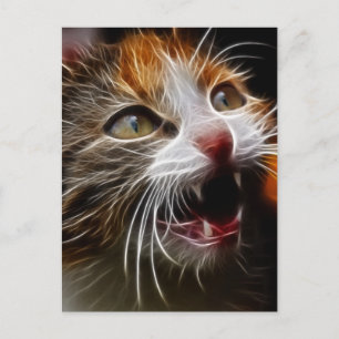 Cartão Postal Gatinho Hungry