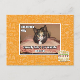 Cartão Postal Gatinho interessado