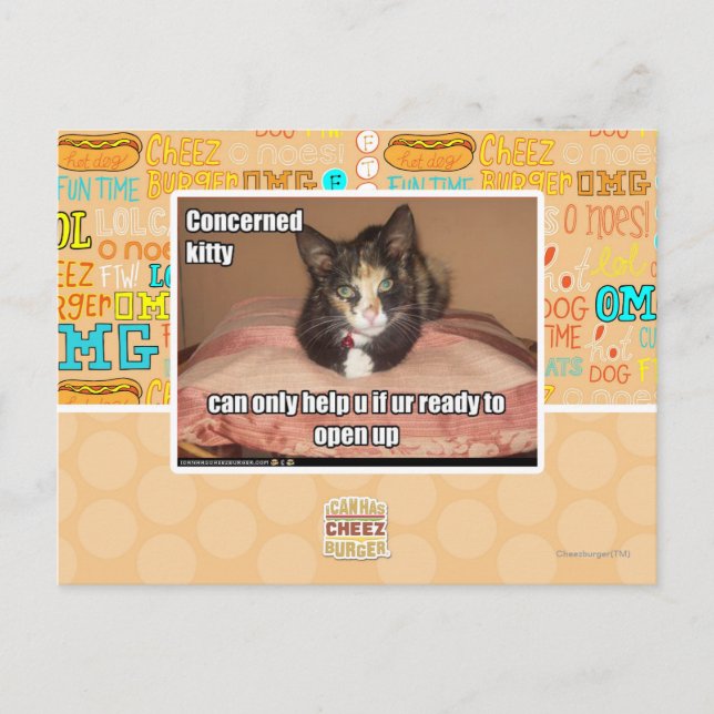 Cartão Postal Gatinho interessado (Frente)