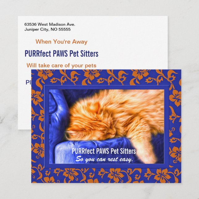 Cartão Postal Gatinho Kouch - Pet Personalizado Pet Sitter Publi (Frente/Verso)