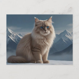 Cartão Postal Gatinho legal