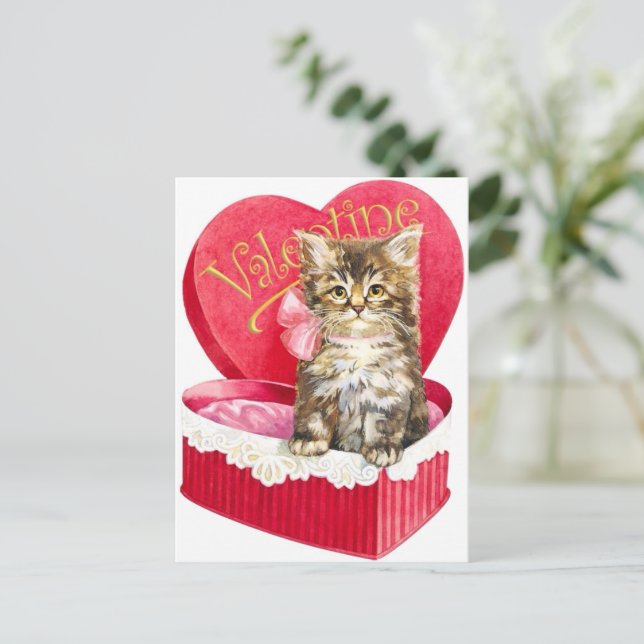 Cartão Postal Gatinho na caixa de doces (Em pé/Frente)