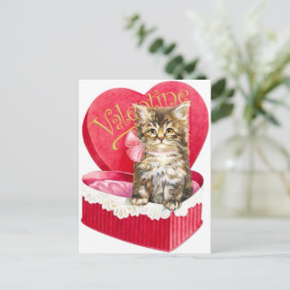 Cartão Postal Gatinho na caixa de doces