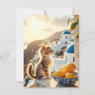 Cartão Postal gatinho na Itália