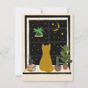 Cartão Postal Gatinho noturno