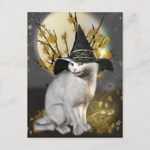 Cartão Postal Gatinho O Gato das Bruxas Mágicas