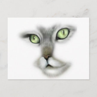 Cartão Postal Gatinho Olhado Verde