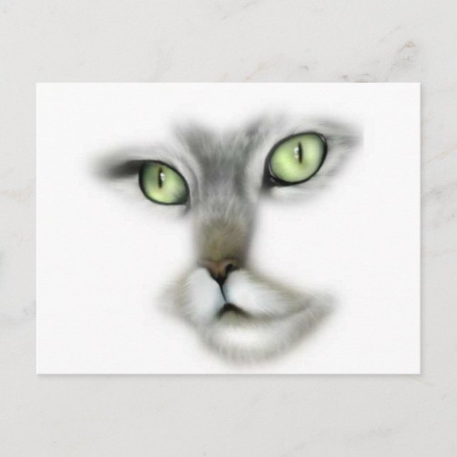 Cartão Postal Gatinho Olhado Verde (Frente)