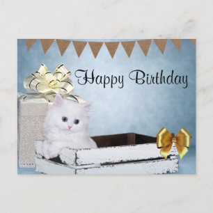 Cartão Postal Gatinho persa branco de aniversário