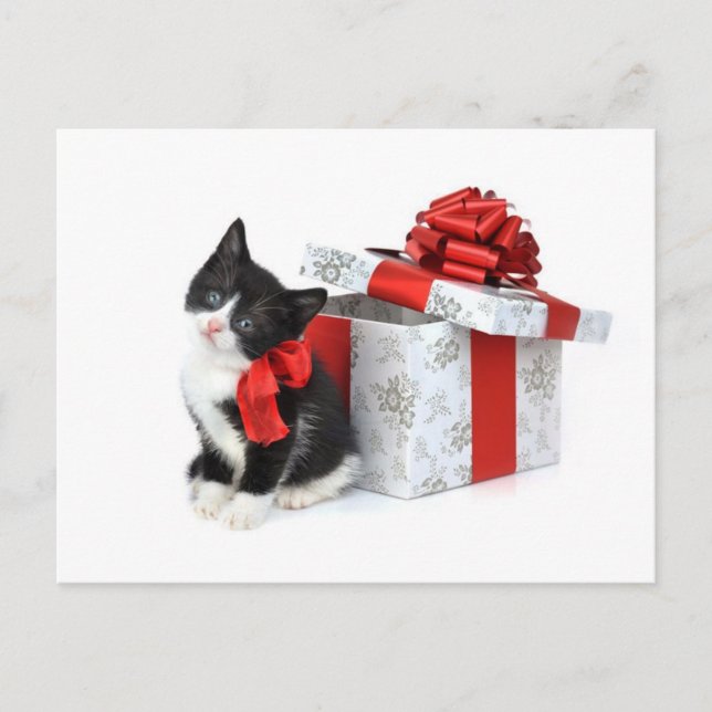 Cartão Postal Gatinho preto e branco com caixa de presentes (Frente)