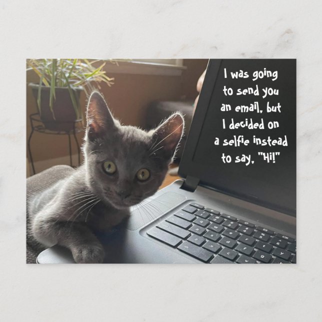 CARTÃO POSTAL GATINHO SELFIE HELLO (Frente)