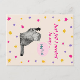 Cartão Postal Gatinho - Senti Que Precisava Dizer Olá