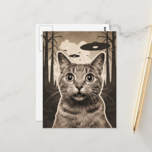 Cartão Postal Gatinho Sepia engraçado e OVNIs