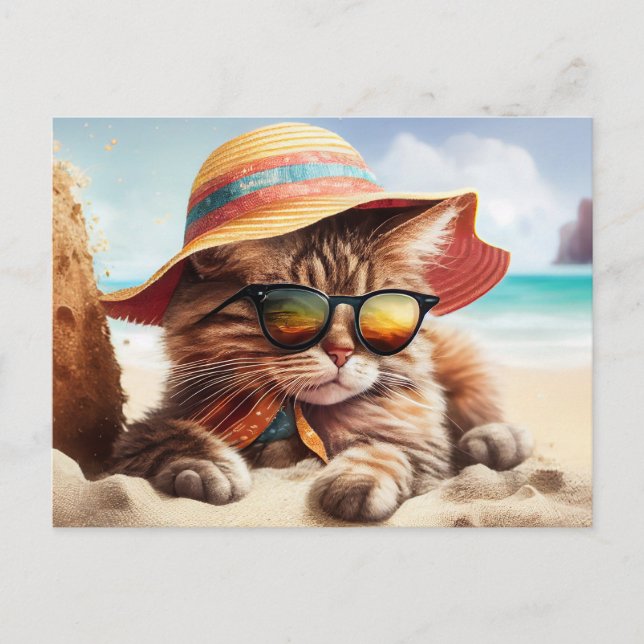 Cartão Postal Gatinho Sunny (Frente)