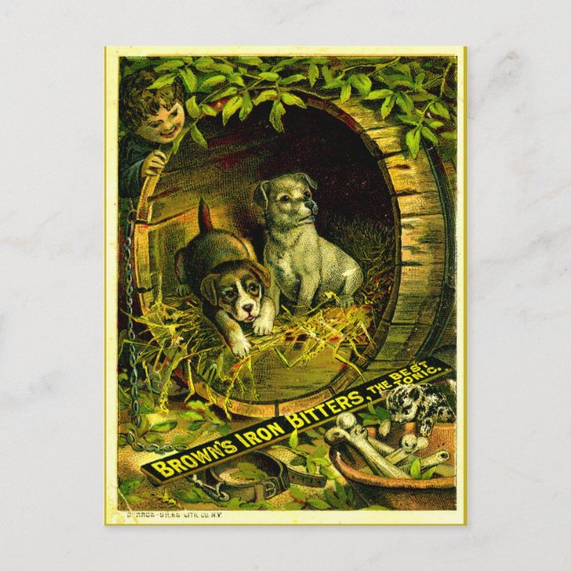 Cartão Postal Gatinho vem chamando (Frente)