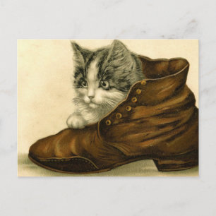 Cartão Postal gatinho vintage em calçado
