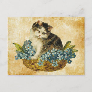 Cartão Postal gatinho vintage na cesta