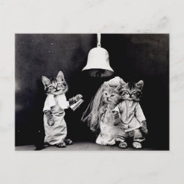 Cartão Postal Gatinho Wedding