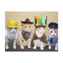 Gatinhos da vila